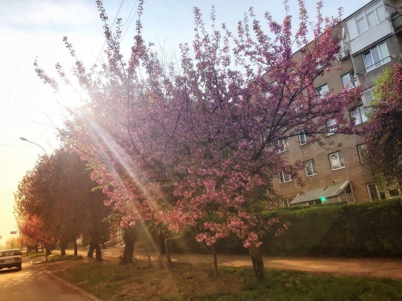 Арт Квартира В Центрі Міста Užhorod Exteriér fotografie