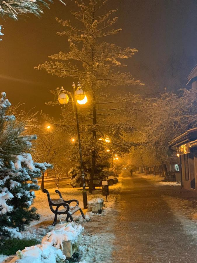 Арт Квартира В Центрі Міста Užhorod Exteriér fotografie